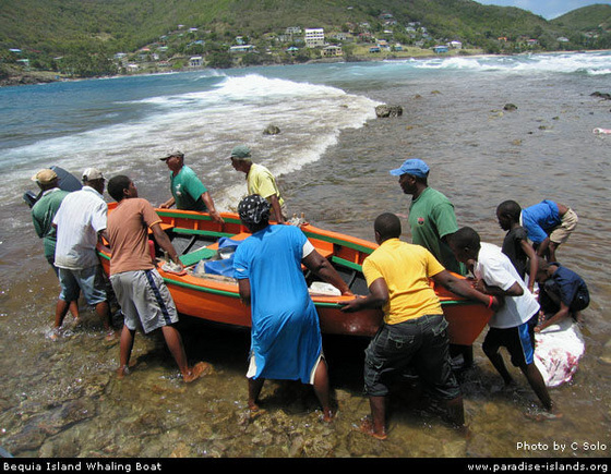 Bequia-Island-Whaling-Boat