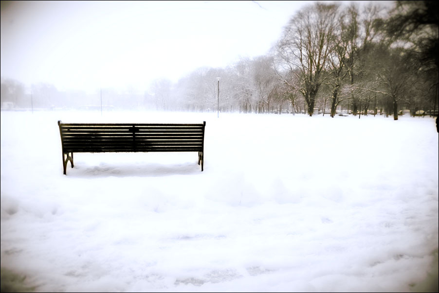 Snow Over The City