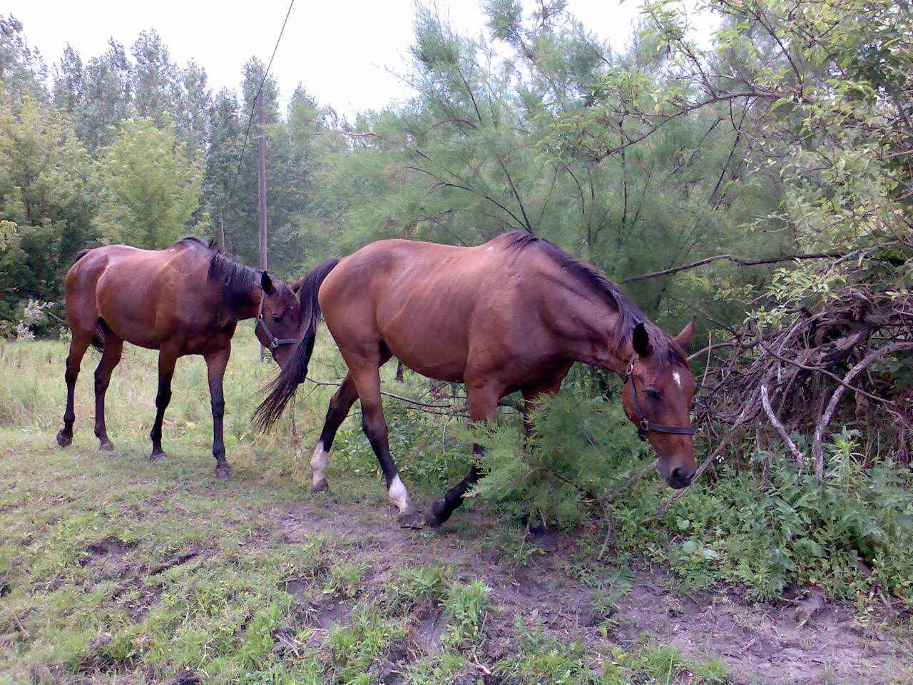 201007 Tábor063