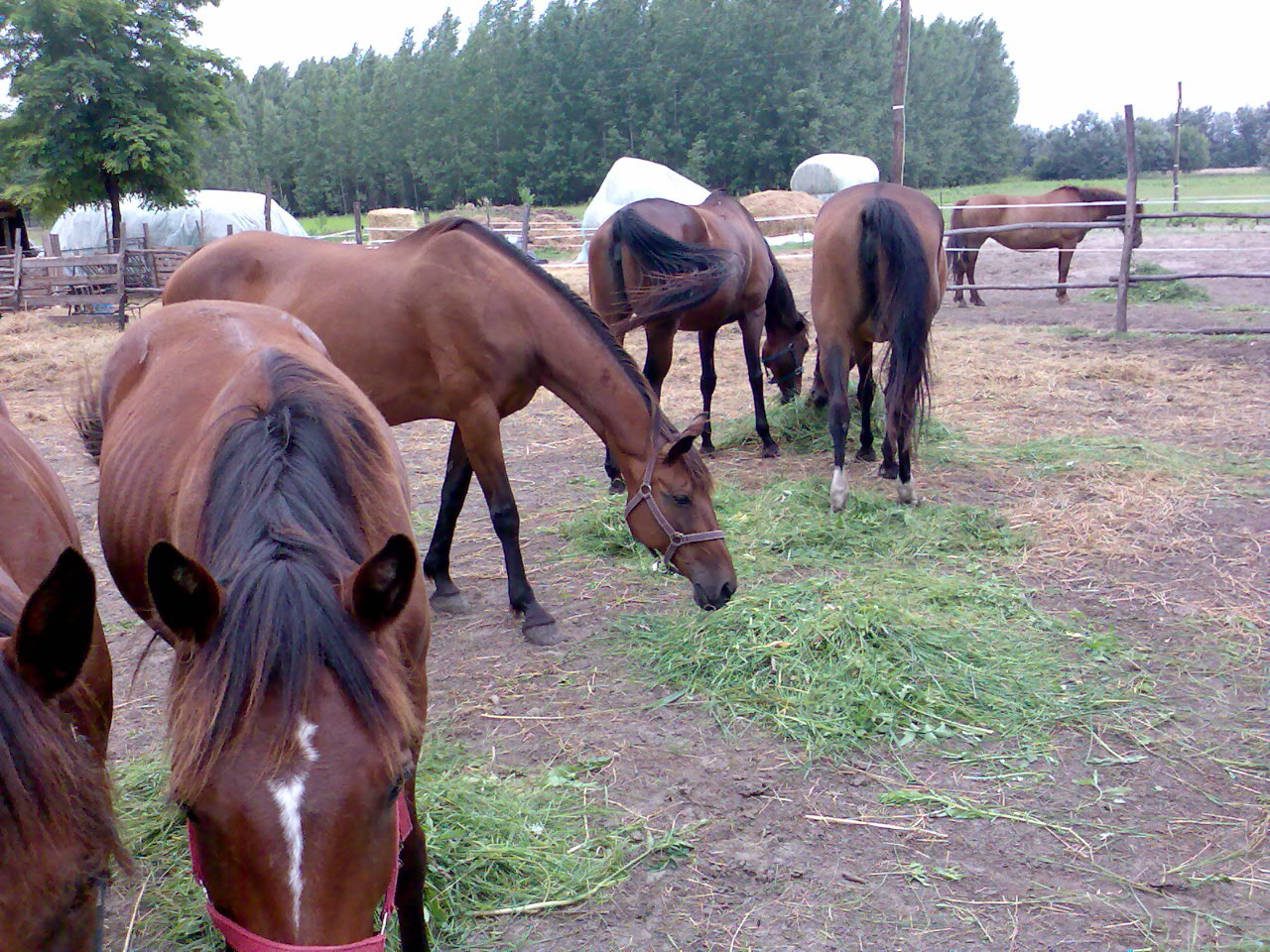 201007 Tábor079