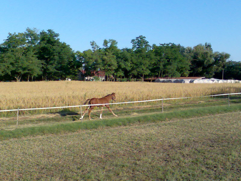 201007 Tábor291