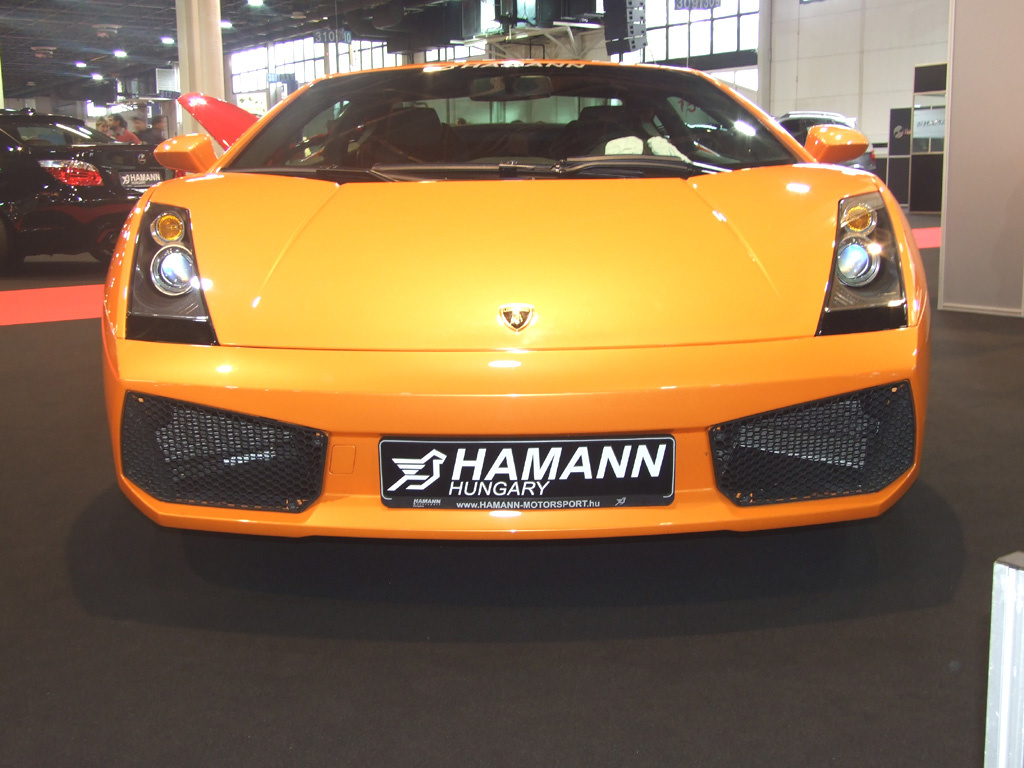 Ferrari (Hamann)