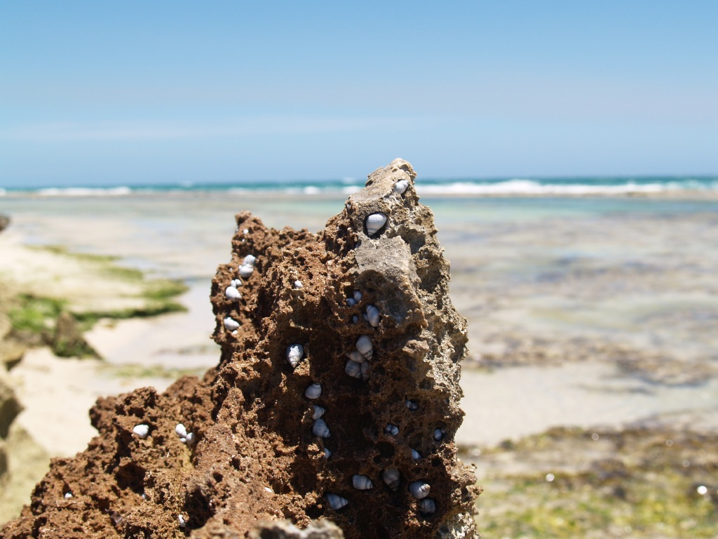 Yanchep Lagoon 20