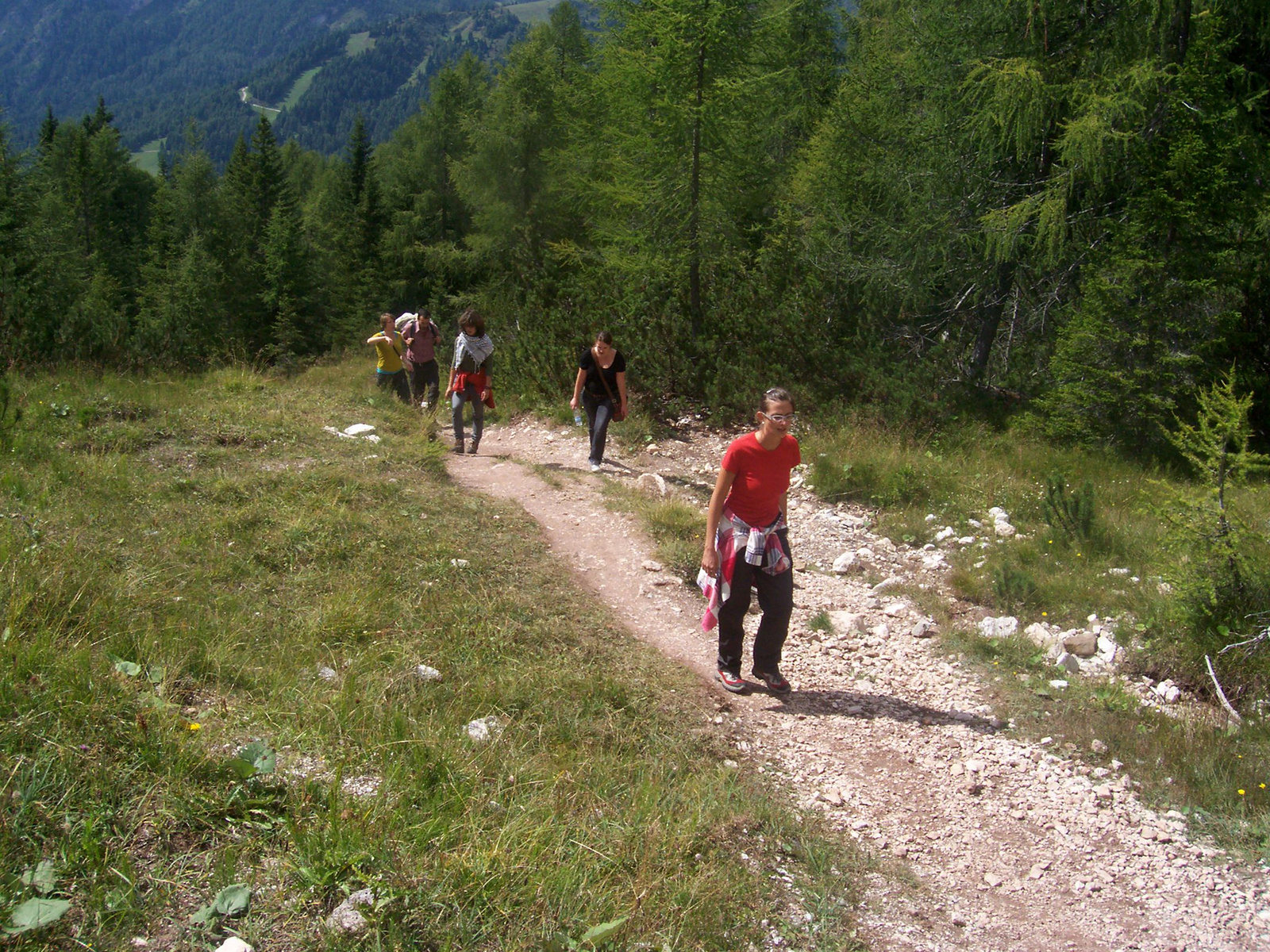 dolomiti viceza padova 109