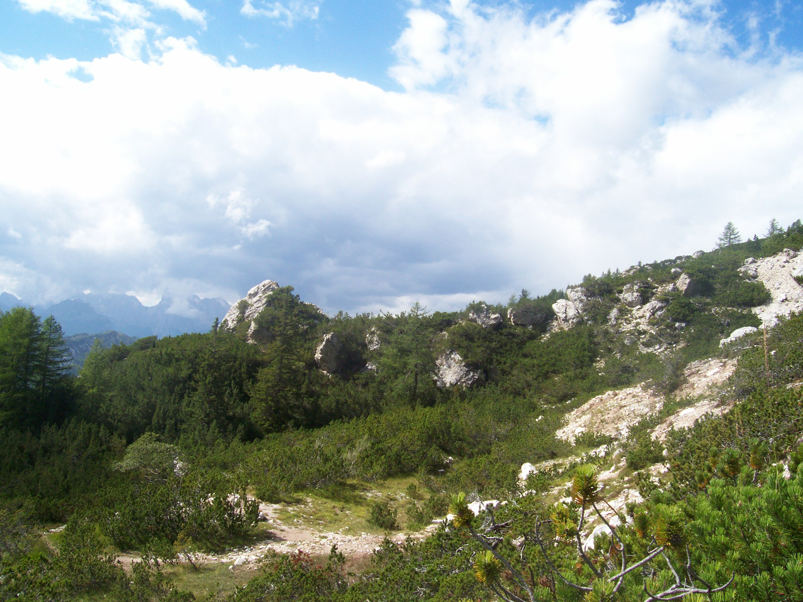 dolomiti viceza padova 122