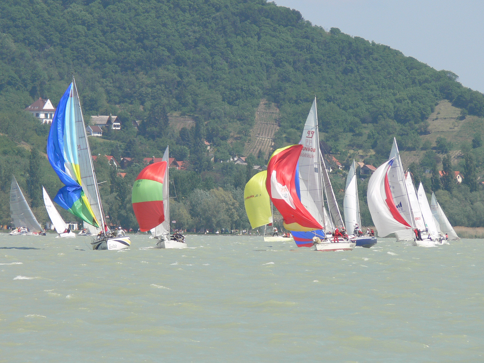 2008 Pünkösd Regatta Szigliget