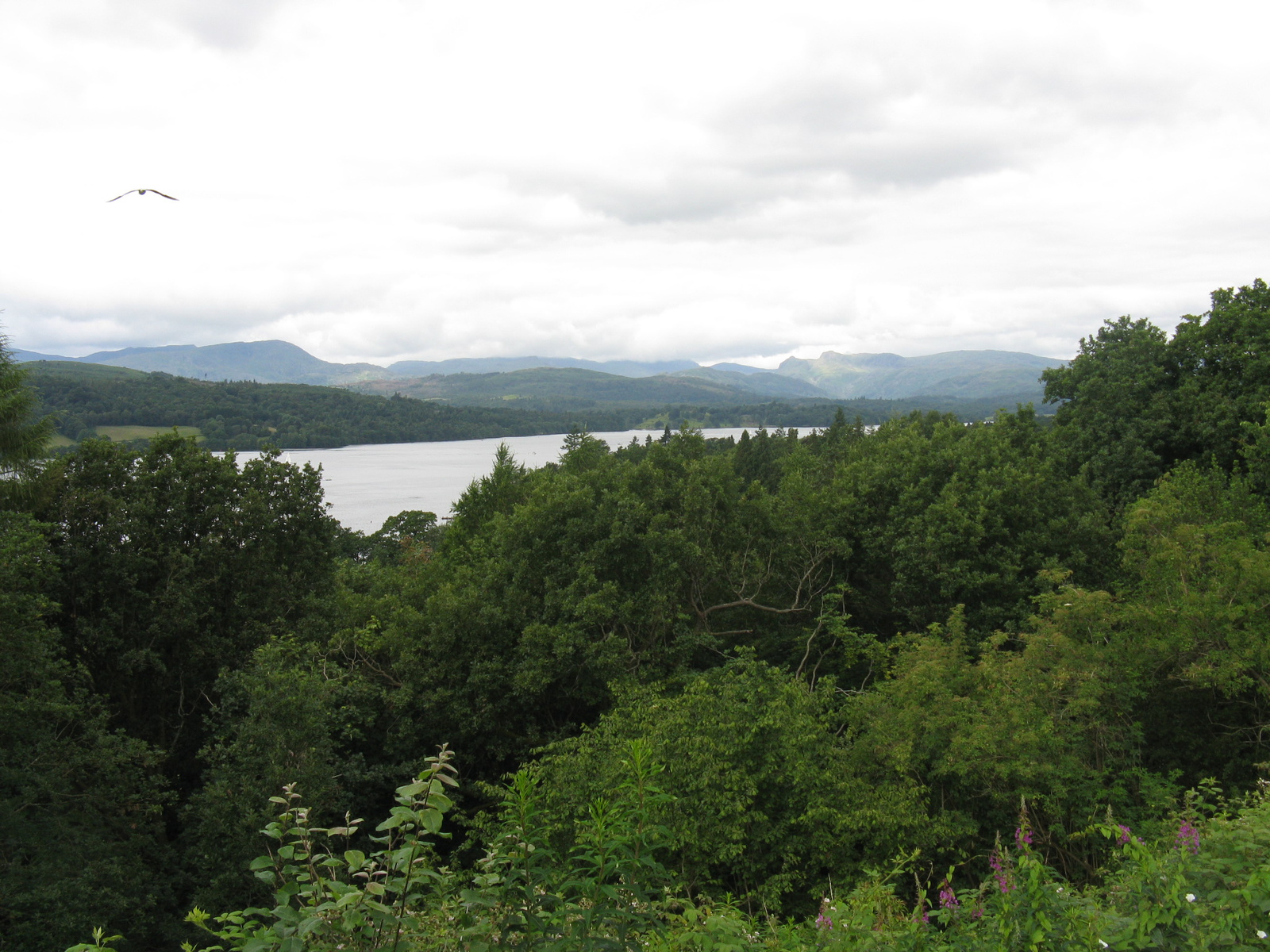 Lake from distance