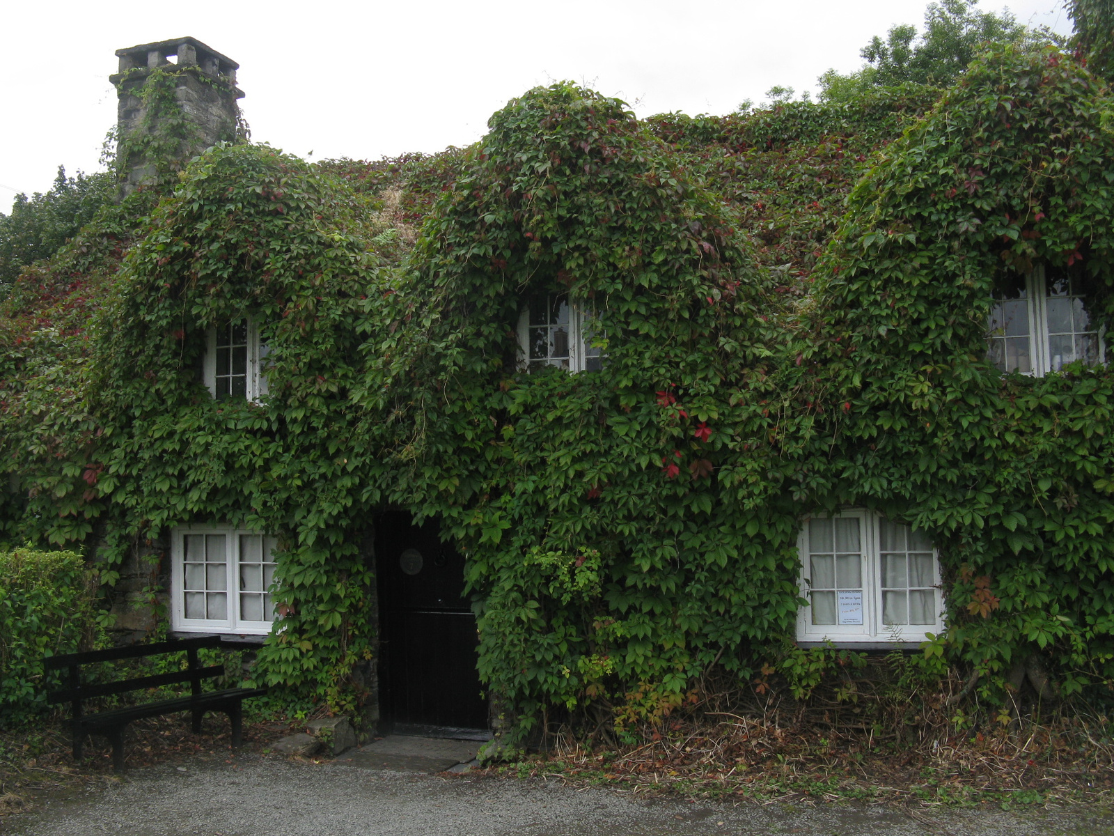 House with some plants