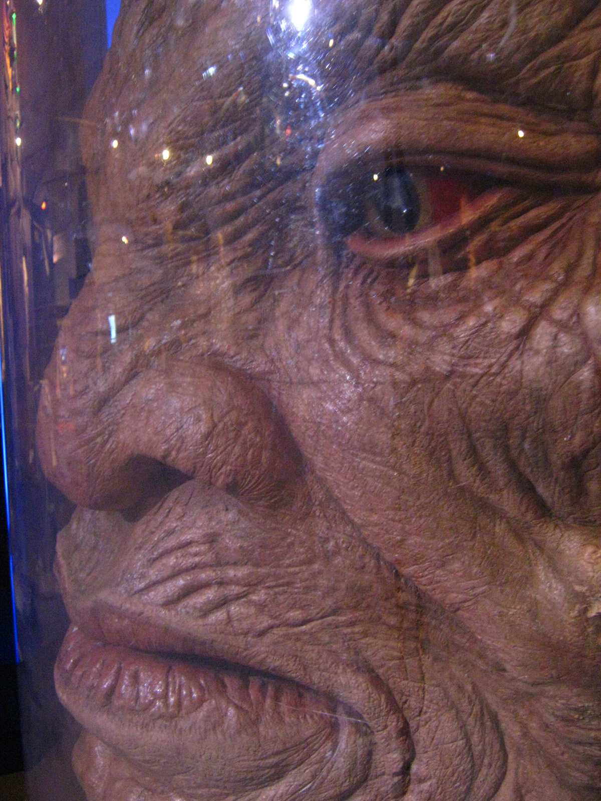 11-face of boe (5) - Copy