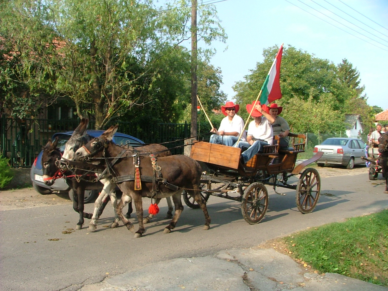 2009-es szentmártonkátai Falunap 082