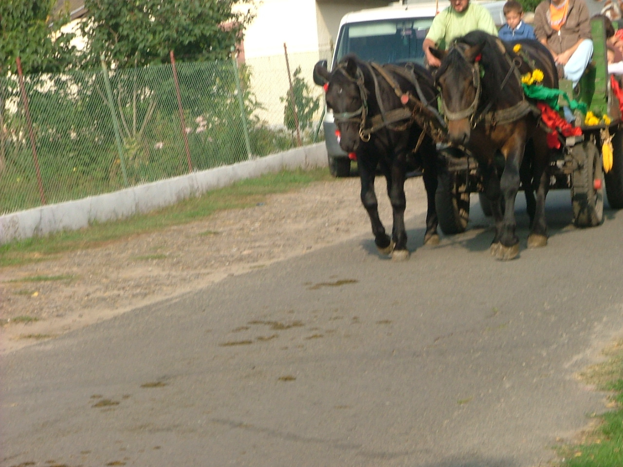 2009-es szentmártonkátai Falunap 094