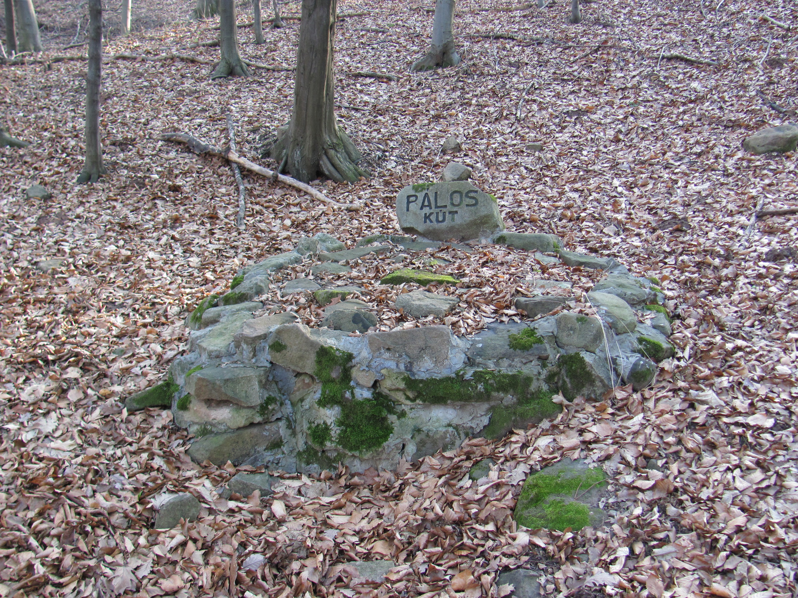 2011.01.16 Orfű jakabhegy Patacs 079