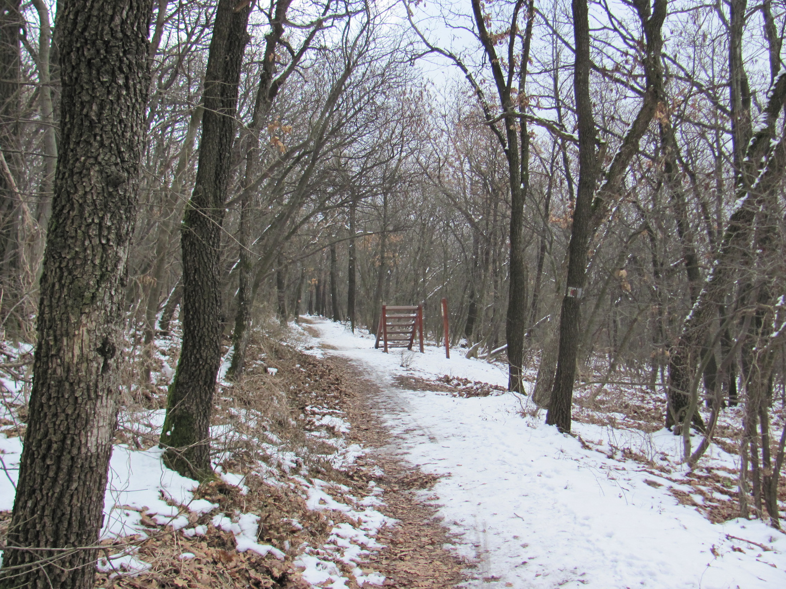 2011.01.30.Orfű-Pécs