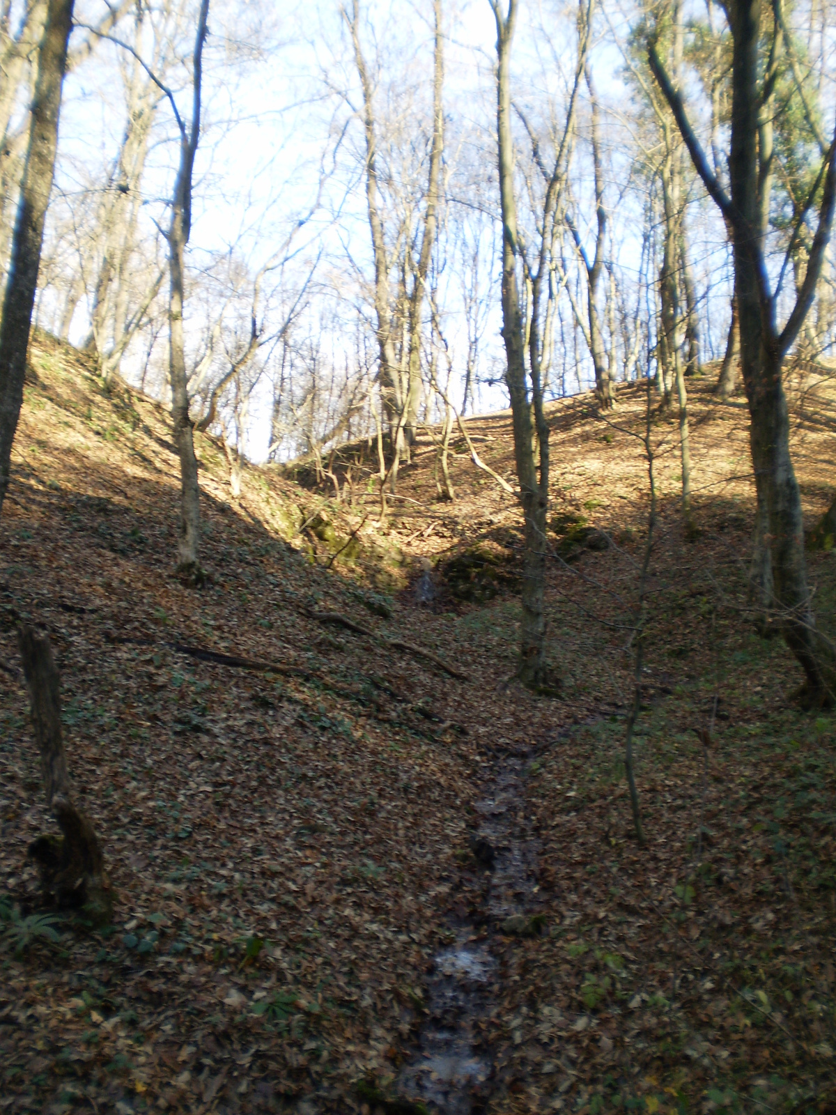 20101113 Orfűi Nagy kő oldal