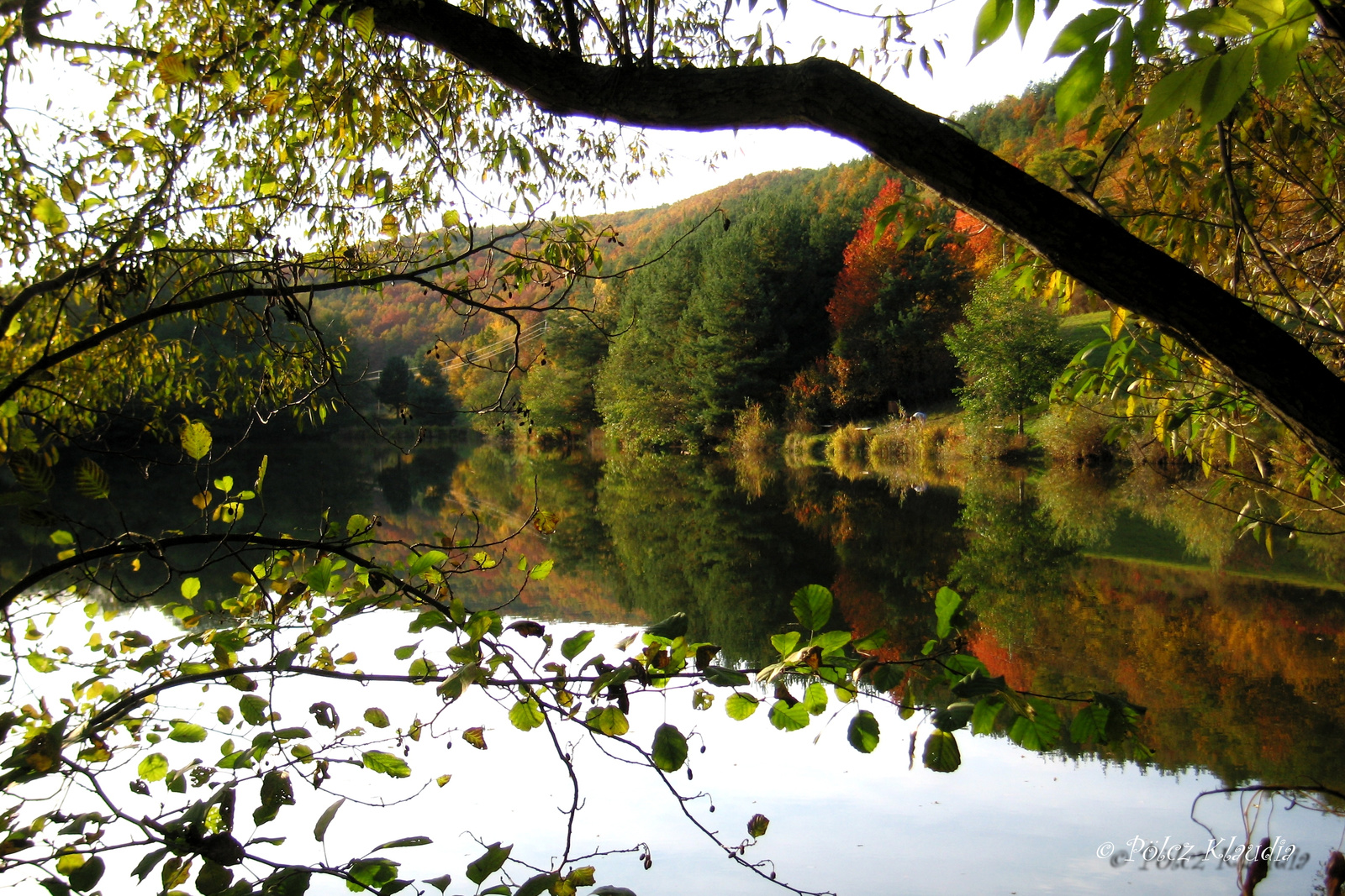 2006.10.25. világvégebokrai