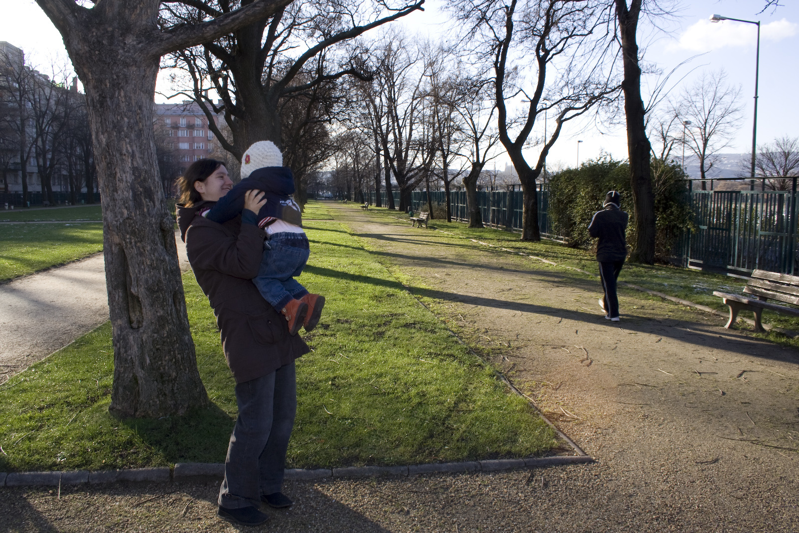 Park, fák, repülés