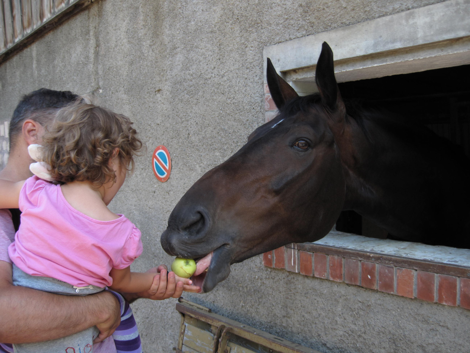 and horses again