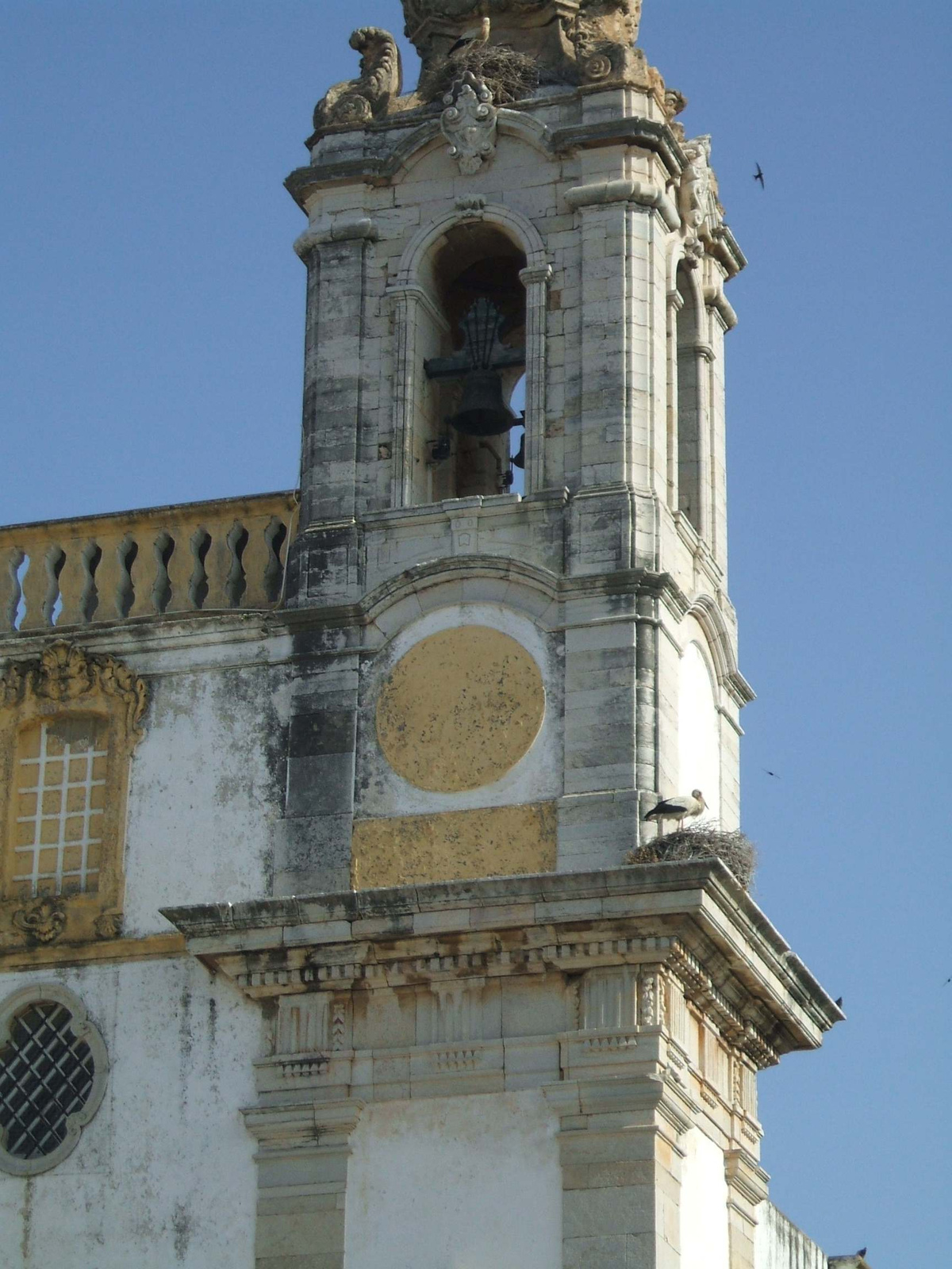 Faro, Carmelita templom, gólyák