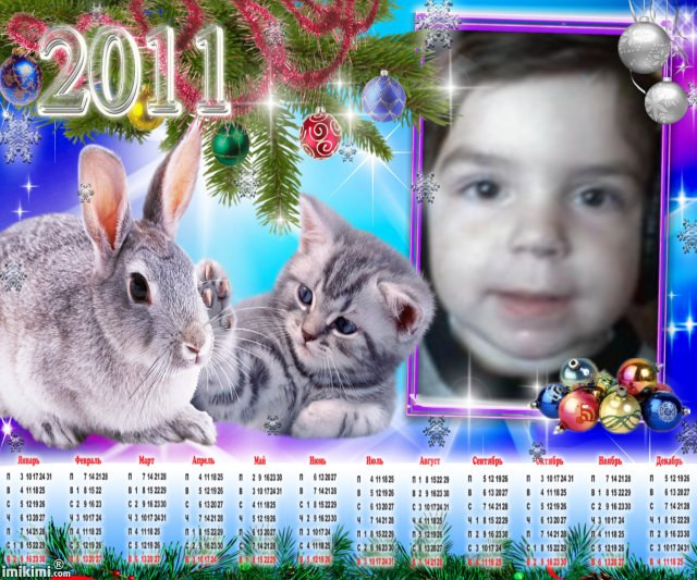 2011 Calendar,Animals Frame,ME - 1sIQz-106 - normal
