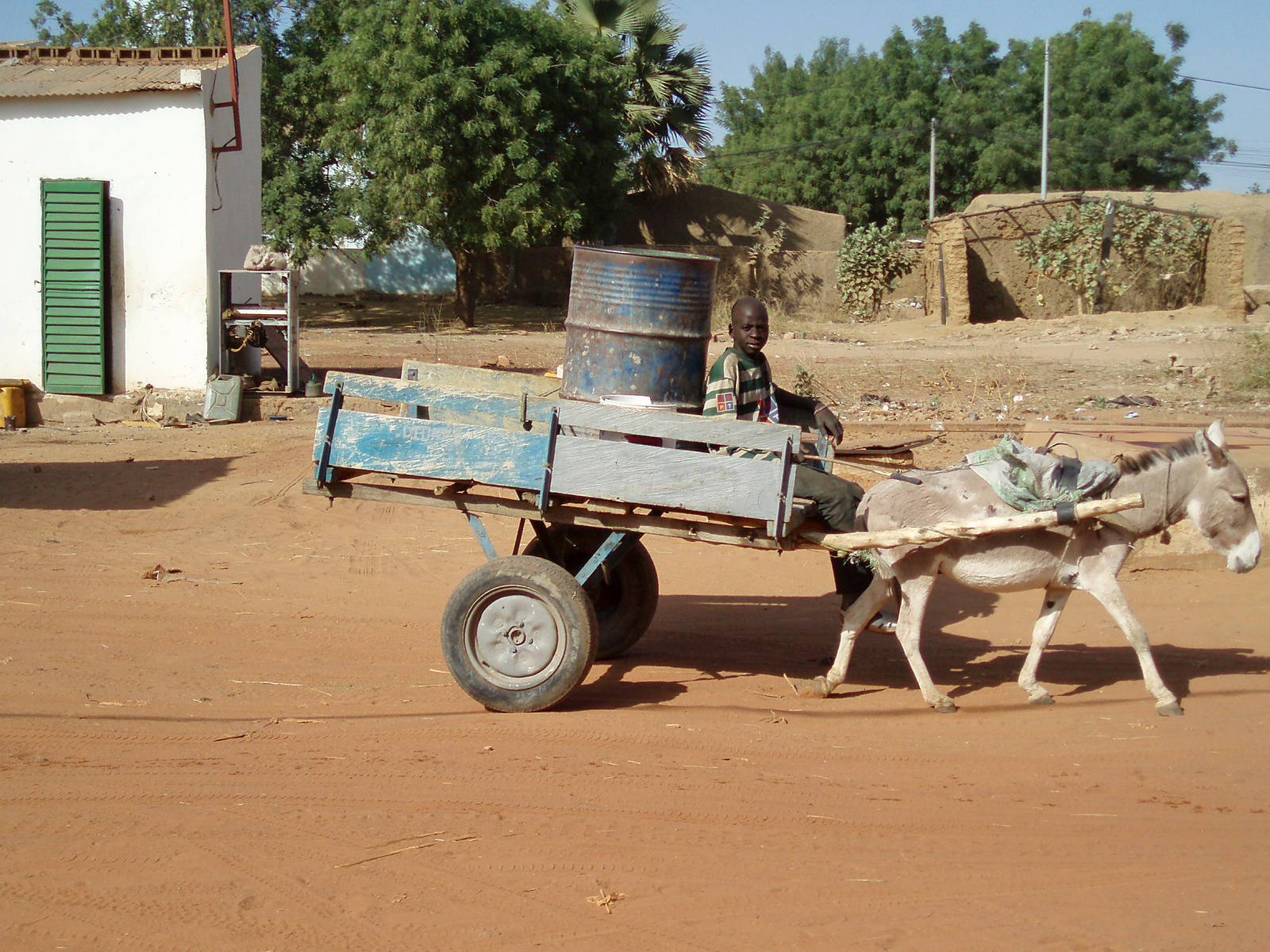 Mali031