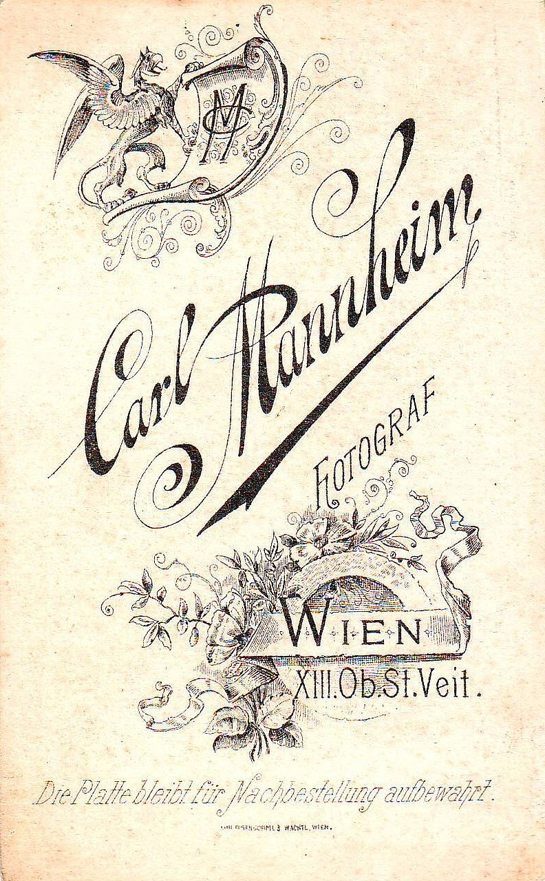 Carl Mannheim, Wien XIII.
