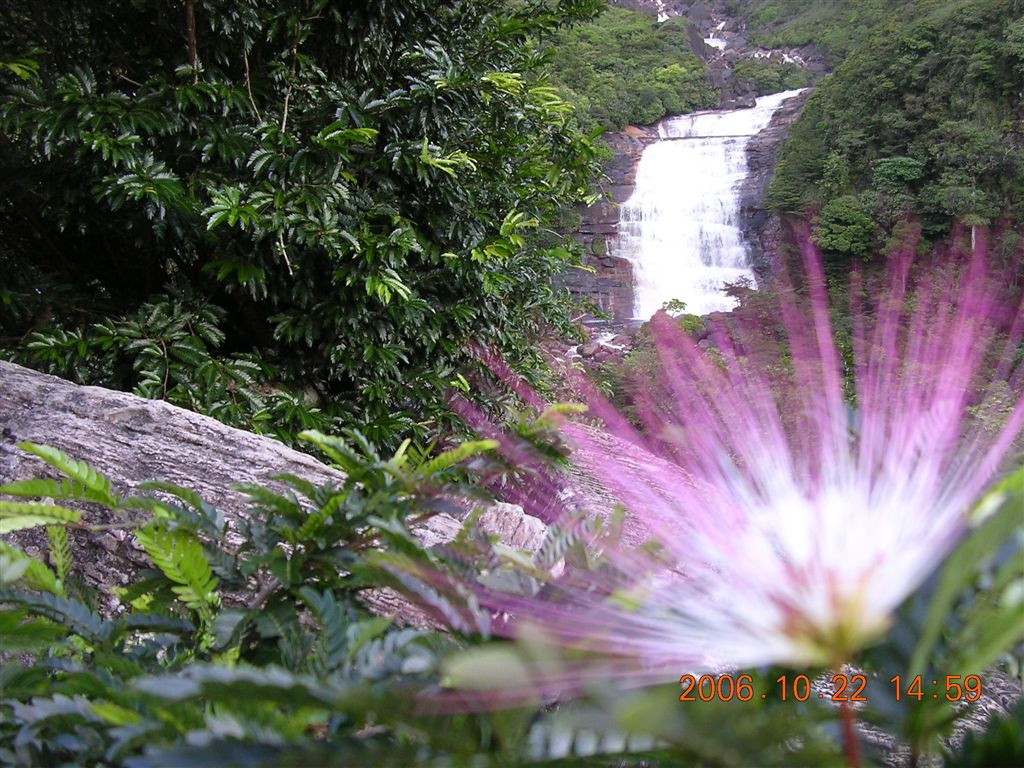 363 Angel Falls