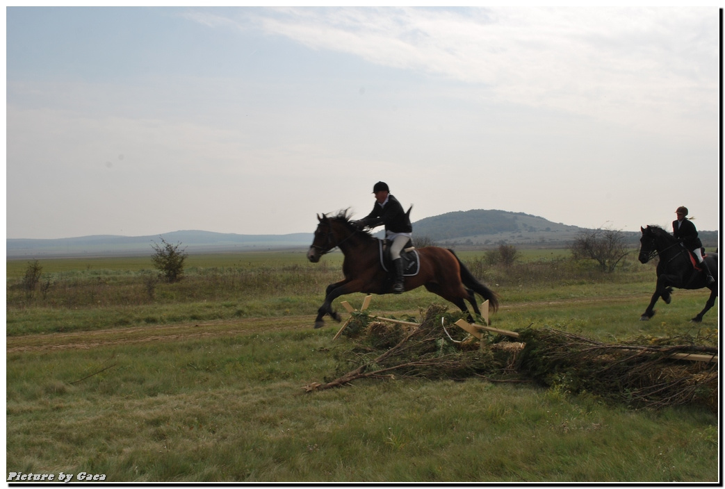 vadaszlovigaca201000103