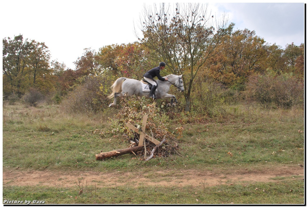 vadaszlovigaca201000129