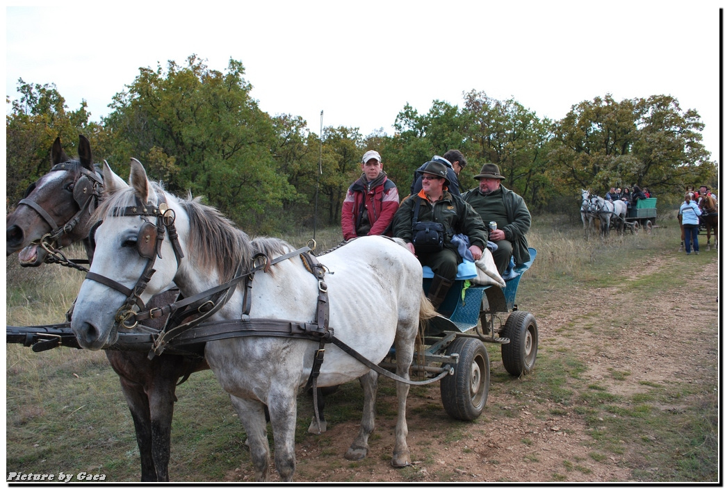 vadaszlovigaca201000153