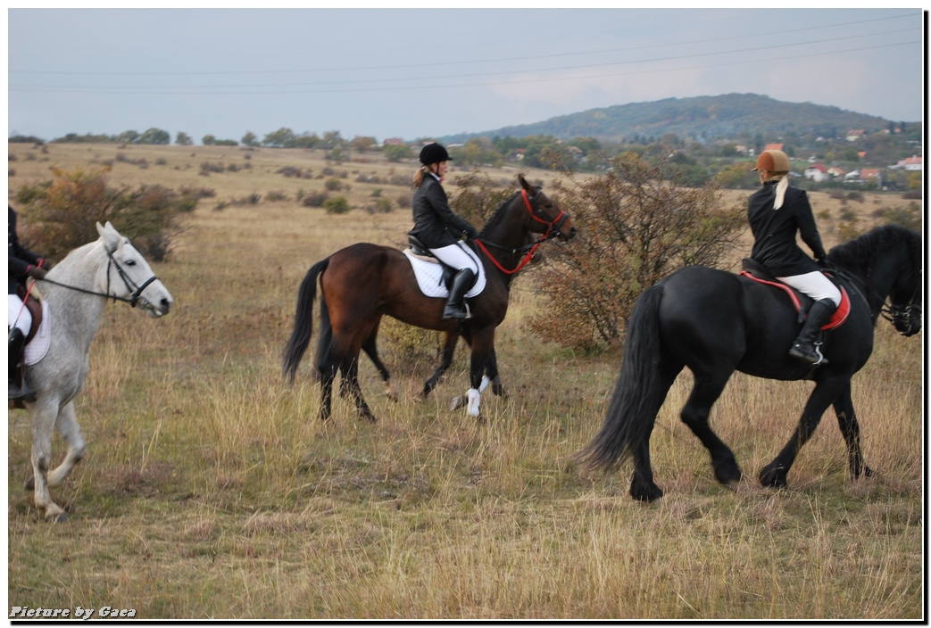 vadaszlovigaca201000179