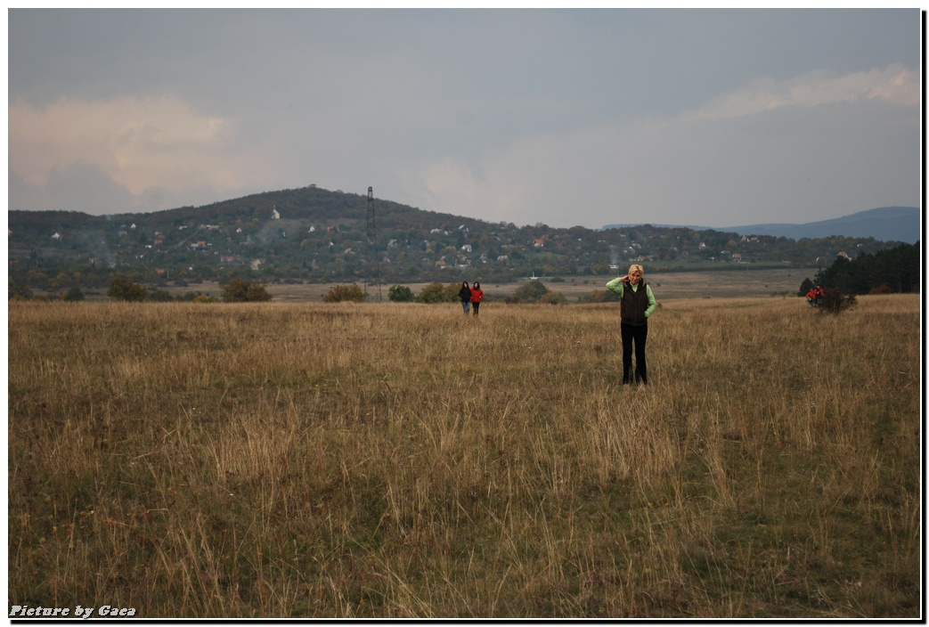 vadaszlovigaca201000197