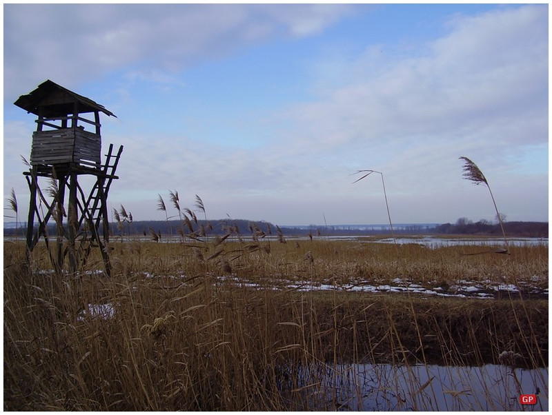 Vadászles, valahol a Nagyberekben.