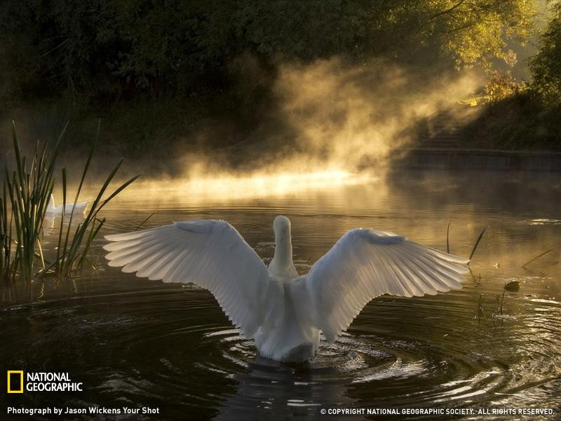 swan-river-avon-061109-sw (Medium)