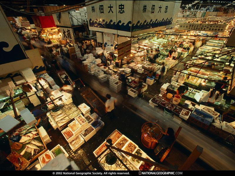 tokyo-fish-market-493353-sw (Medium)