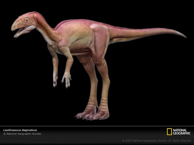 lesothosaurus-sw (Medium)