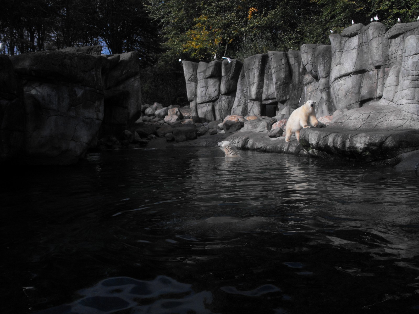 Aalborg állatkert Ålborg Zoo