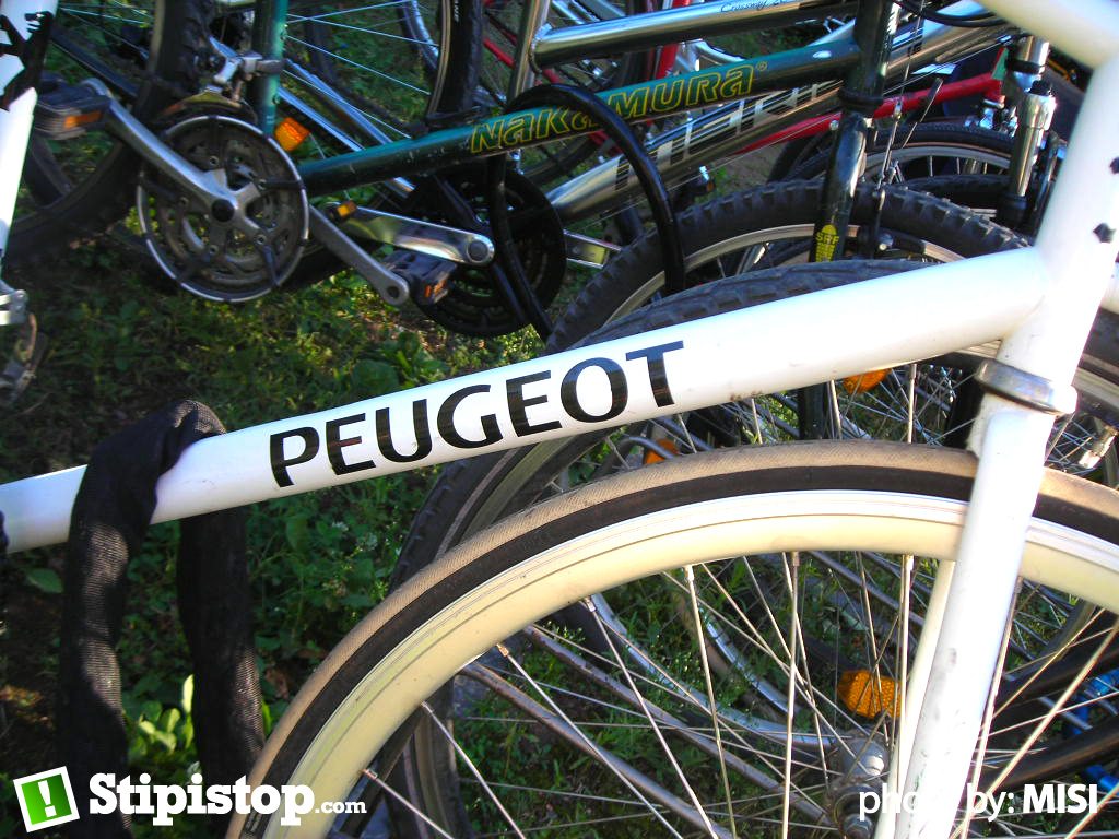 peugeot bringa