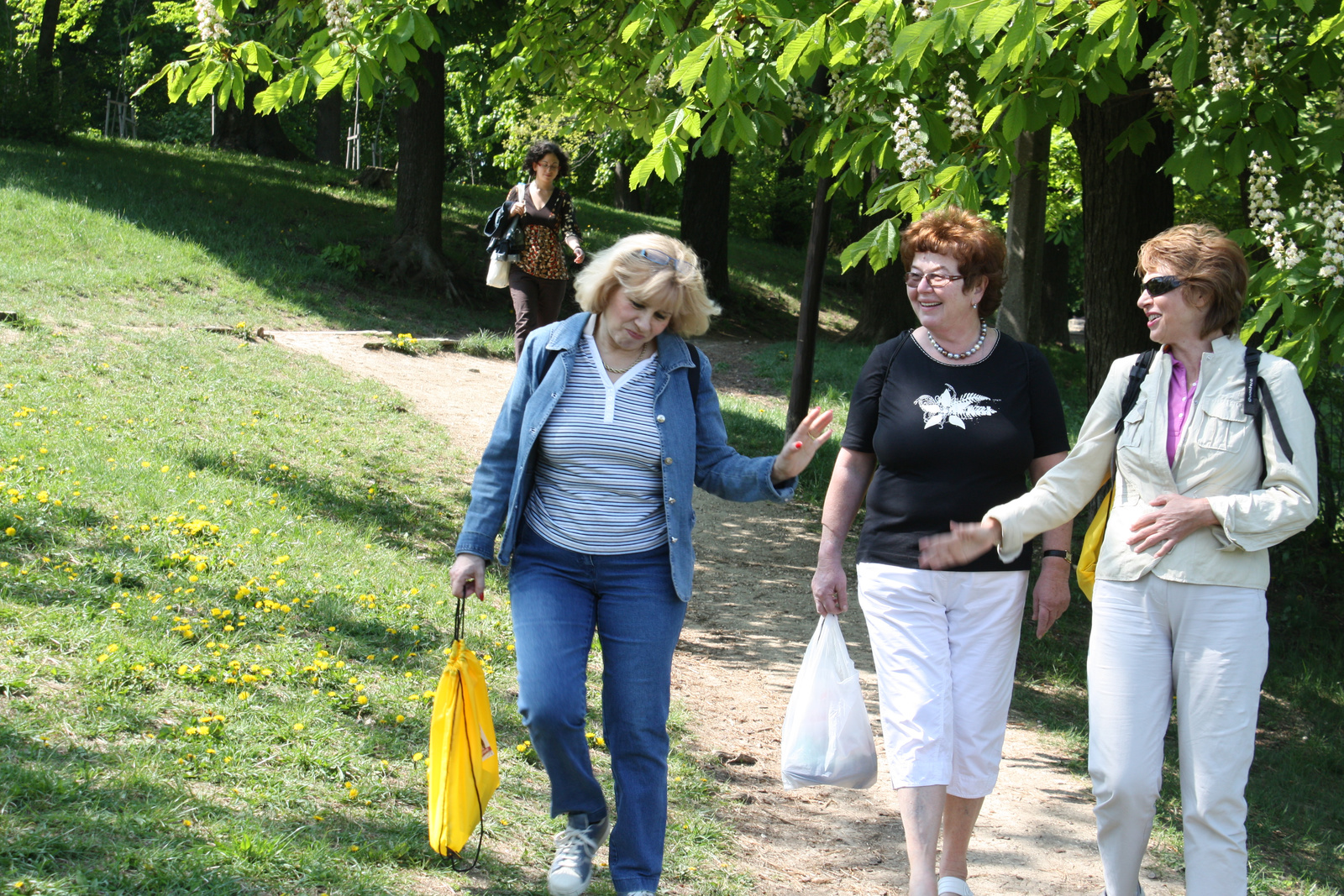 2009.04.25. 60.szulinap 104