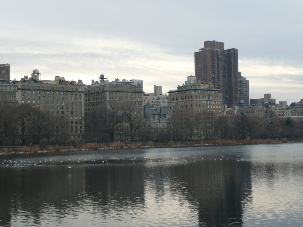 Central Park