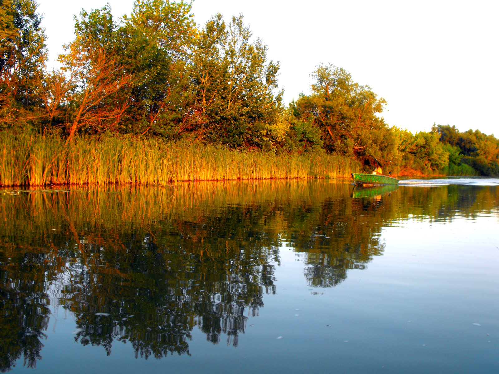 Tisza-tó.2009.Naplemente.