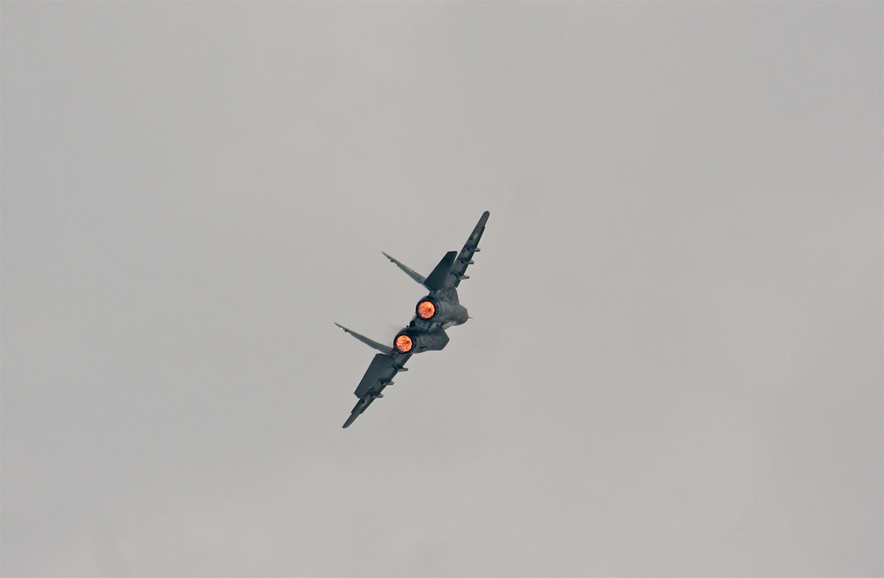 MiG-294