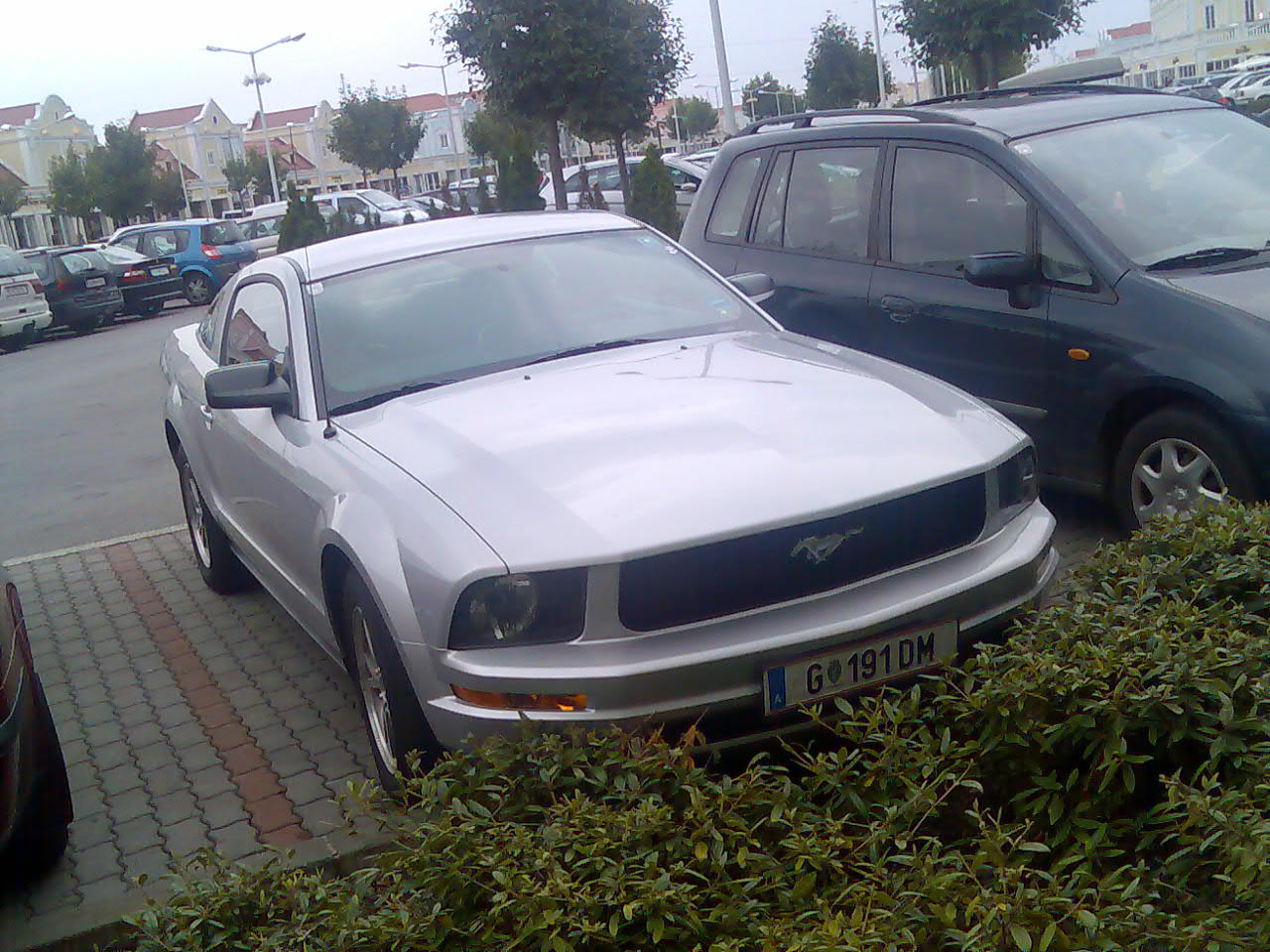 Mustang, Bécsben