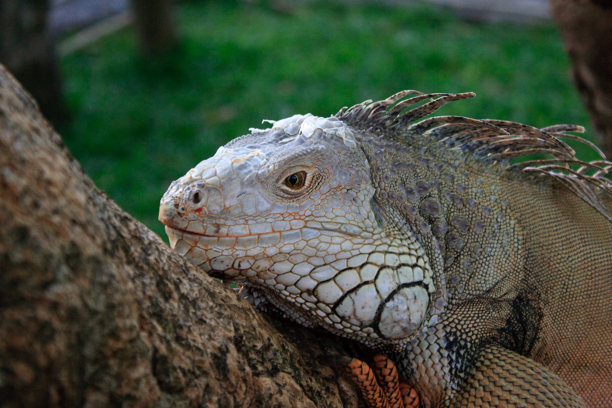 Bali 2008 148