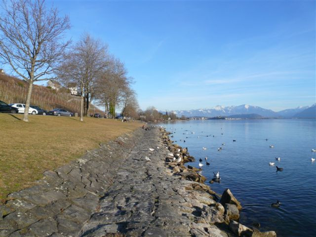 Rapperswil