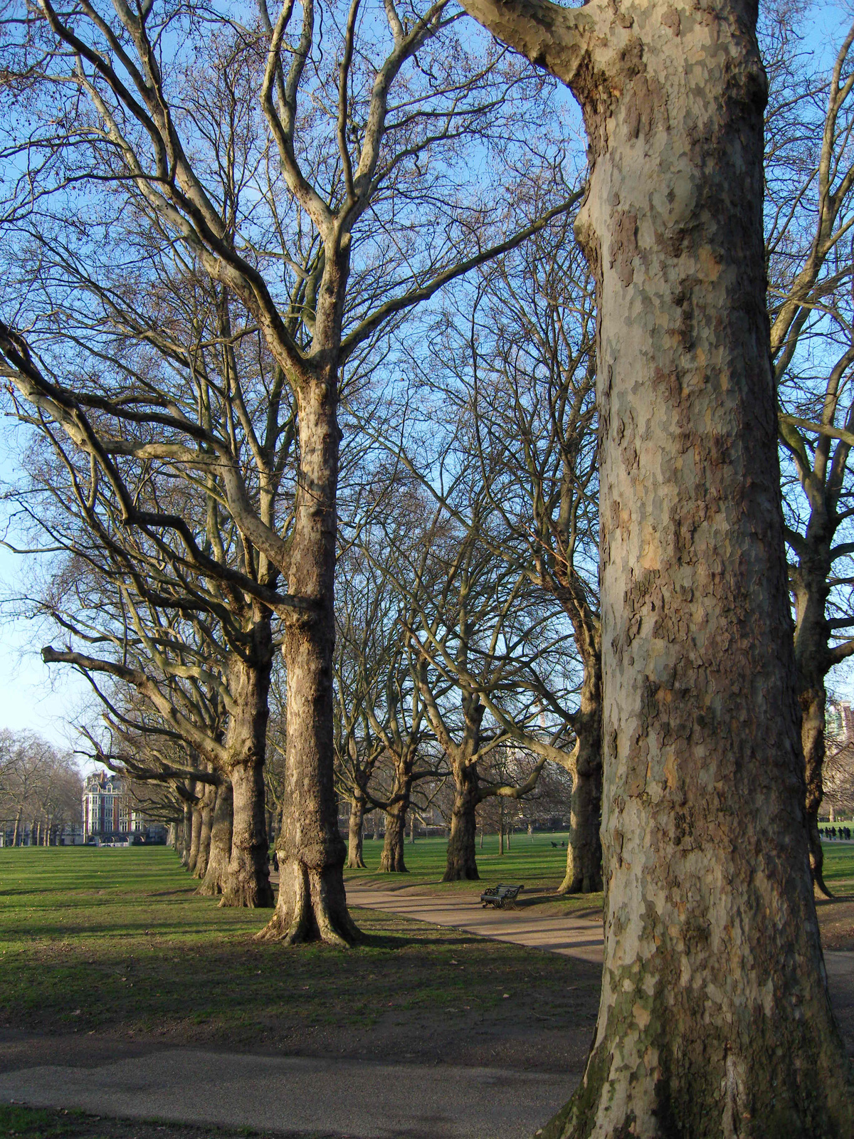 Green Park