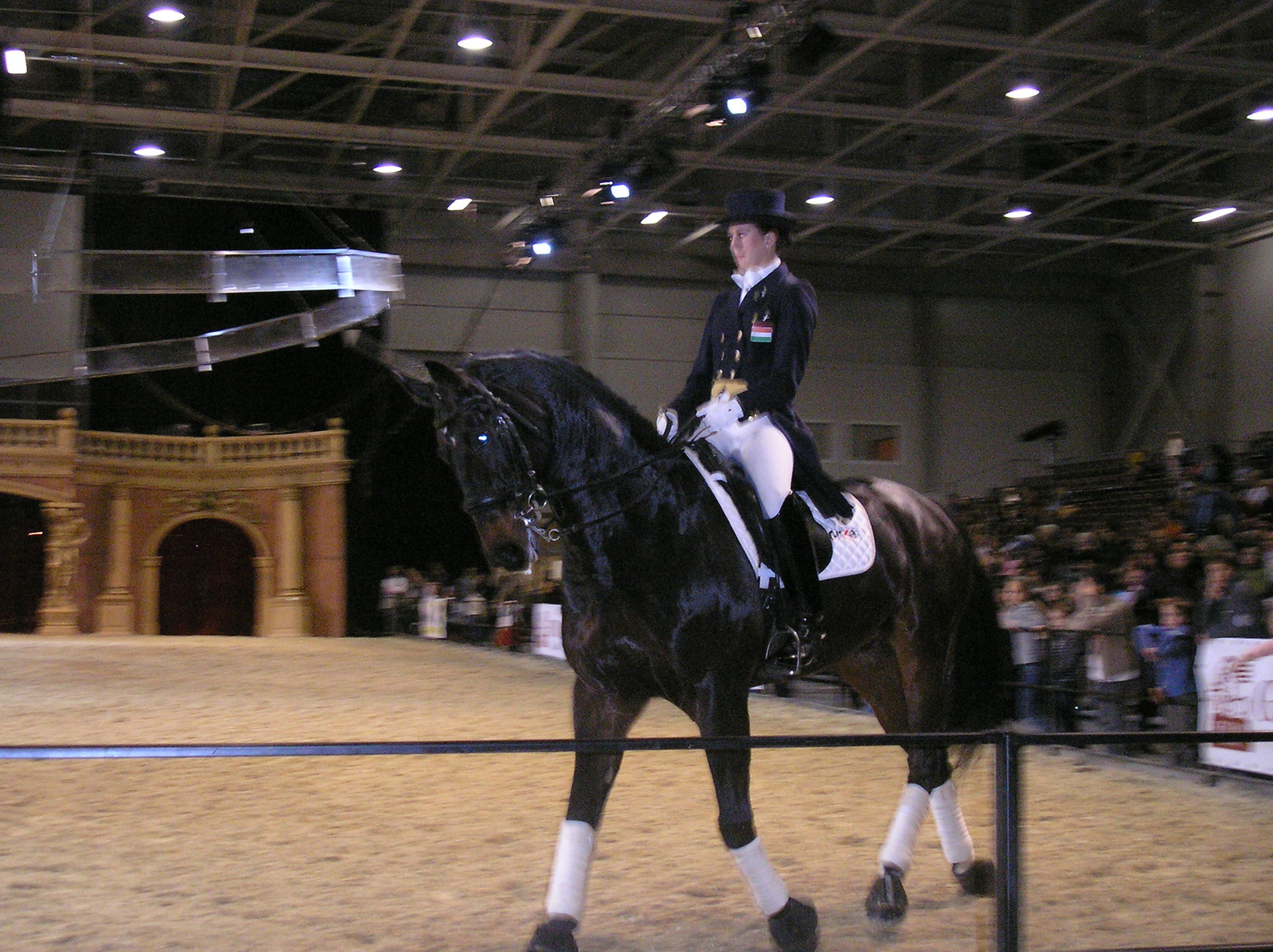 Equifest a ló ünnepe 2009.11.08. 029