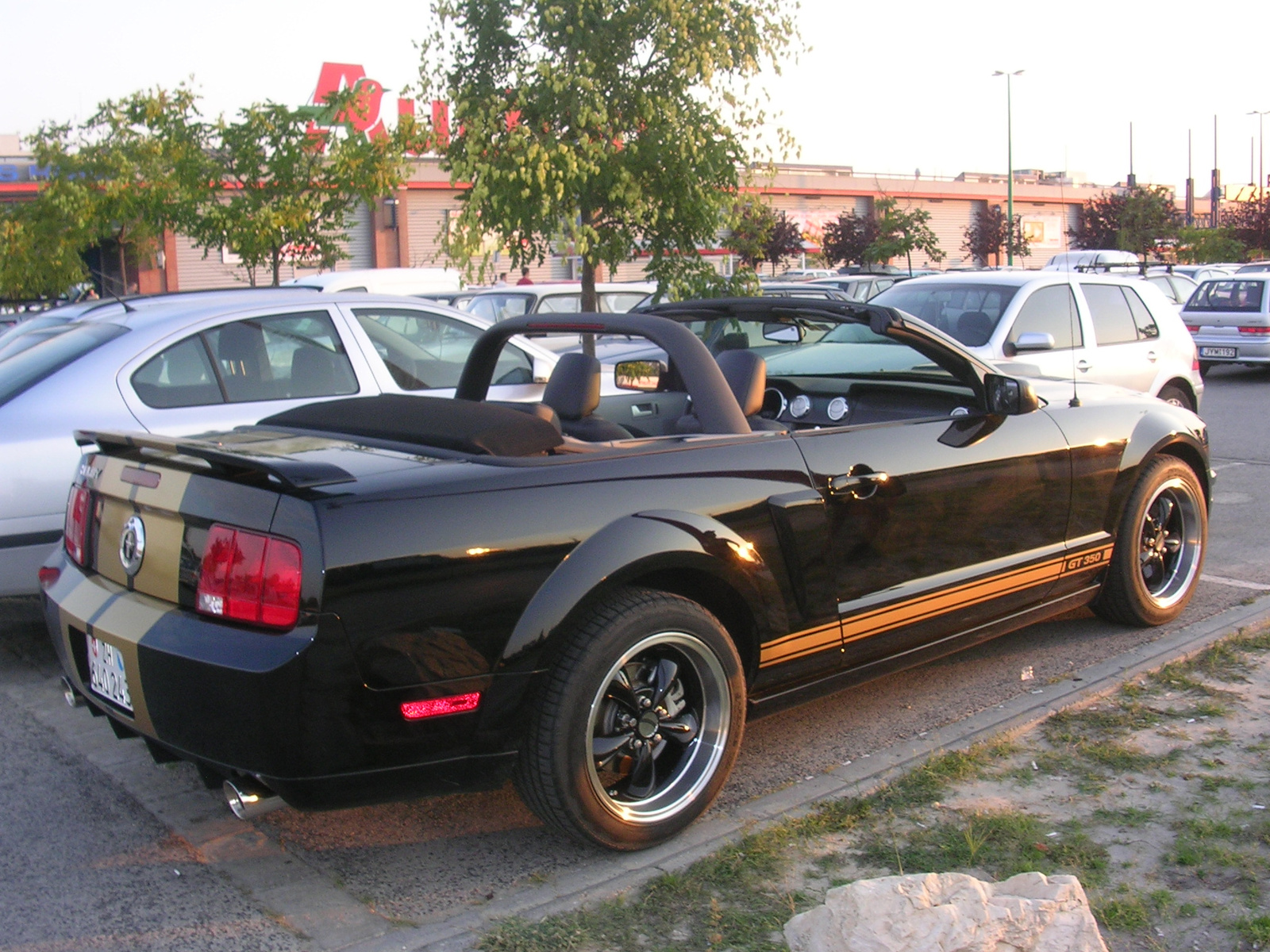 Shelby GT 350