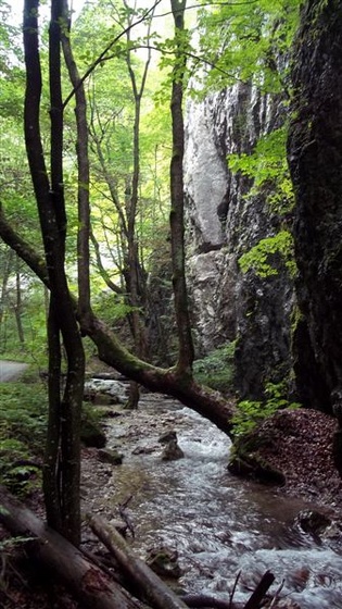 Szlovákia 2011 337