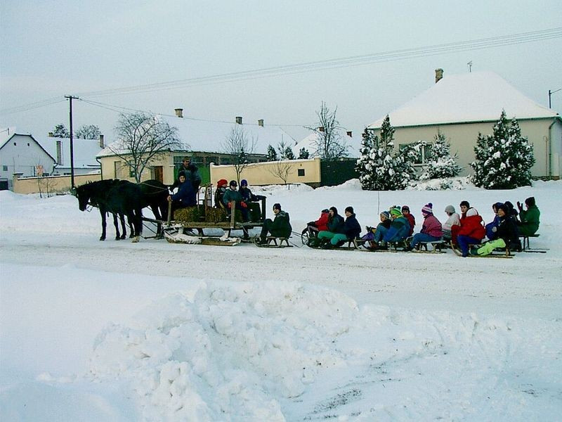 Cserkészek a lovasszán után