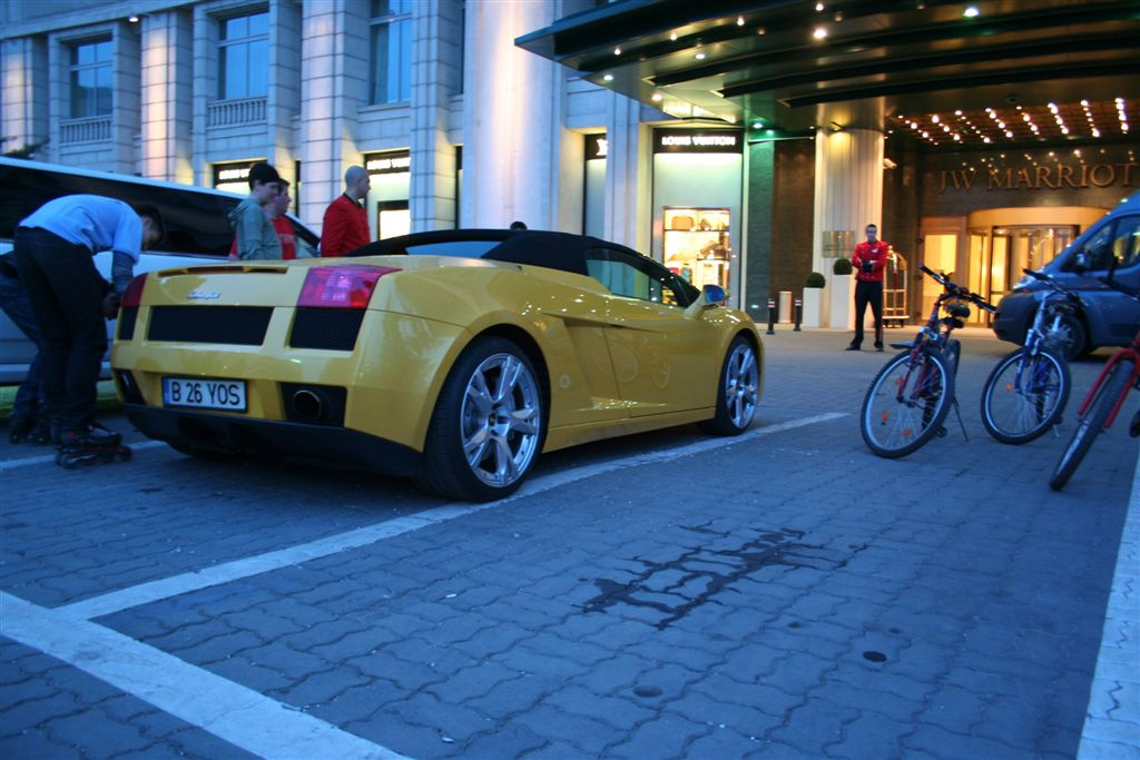 Gallardo spider